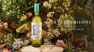 The Cape Grey Mongoose Chenin Blanc: A sip of summer.
